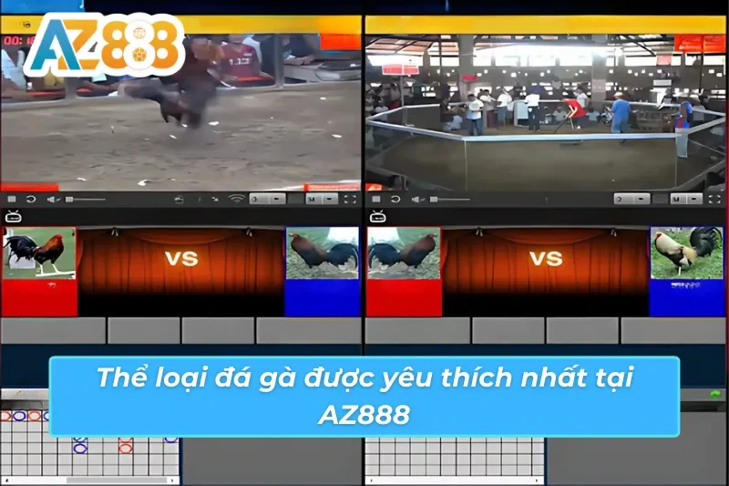 Thể loại cược đá gà AZ888 được nhiều cược thủ yêu thích